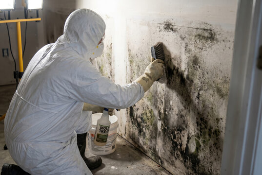 Mold remediation worker in protective suit removing mold from surface, close-up of treatment, cleanup concept