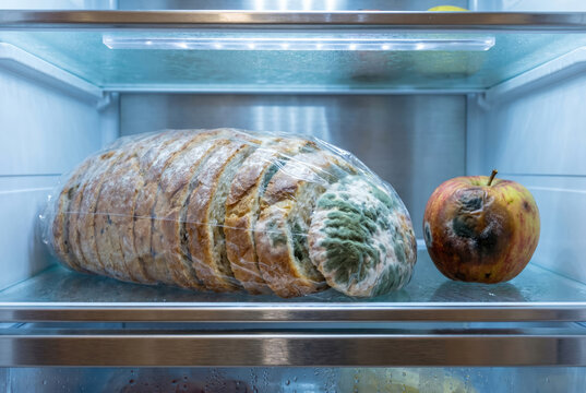 Mold growing on bread and food items in refrigerator, green and white fungus, food spoilage, hygiene concept