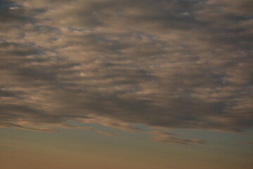 Obraz premium Cirrus blue-gray clouds in the evening sky. Background