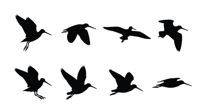 Sandpiper Silhouettes Set - Shorebird and Snipe Flying Vector Illustrations