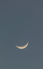 Crescent moon in twilight blue sky © Robert Arango L