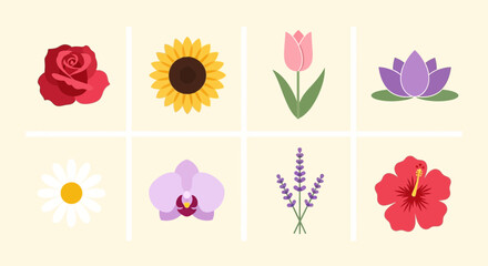 Collection of eight colorful flat design flower icons including roses sunflowers tulips lotus flowers daisies orchids lavender and hibiscus © shitul
