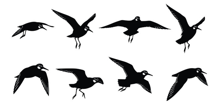 Flying Plover and Sandpiper Silhouettes - Shorebird and Wader Vector Set