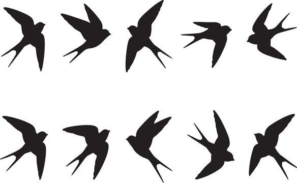 Seamless Bird Silhouette Pattern Vector &ndash; Seagull, Swallow and Pigeon Wallpaper Background Design