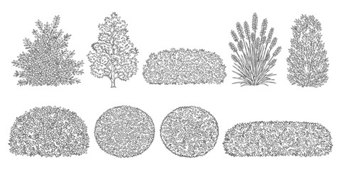 Set of hand drawn sketch trees and garden bushes for landscaping design projects in black and white style © GraphixEra