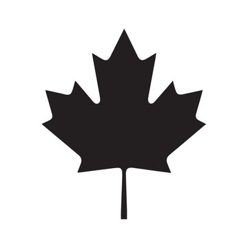 canadian maple leaf