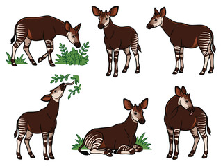 Okapi Animal Illustrations Set. © Ananda Putri