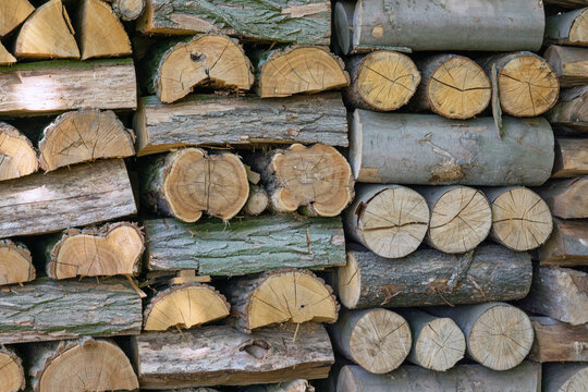 firewood logs texture brown natural wood stack in outdoor forest background with neatly piled timber rounds and split logs in warm daylight concept of energy, forestry, lumber industry