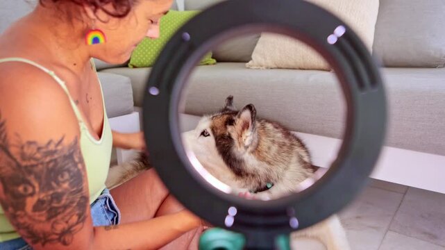 Woman brushing husky dog's teeth at home
