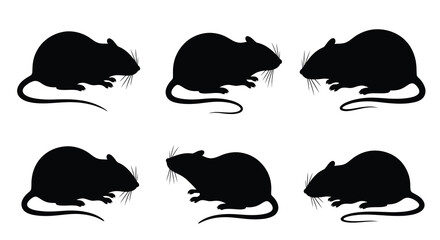 Fototapeta premium Collection of six black rat silhouettes in various poses against a white background silhouette high quality professional detailed modern elegant stylish clean crisp vibrant