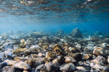 Obraz premium Underwater ocean with stones sea bottom, sun rays in blue water.