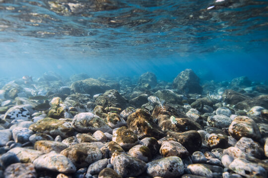 Underwater ocean with stones sea bottom, sun rays in blue water.