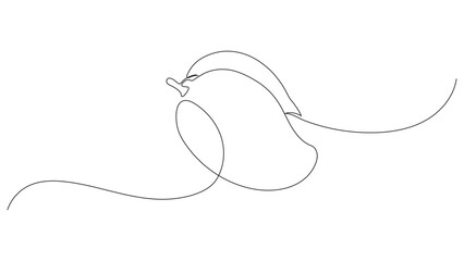 Obraz premium Single line art of tropical mango fruit, Editable stroke 