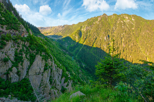 Valley in summer mountains. Gorgeous mountainous landscape of Carpathians. Rocky cliffs and forested slopes under blue sky. Scenery of Fagaras ridge of Southern Carpathian mountains of Romania, Sibiu