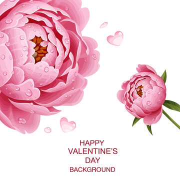 Pink Peony Floral Background for Valentine's Day Vector Illustration