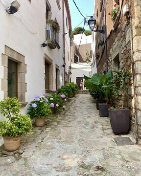 old town, narrow street, alley, European street, historic street, cobblestone, architecture, travel, tourism
