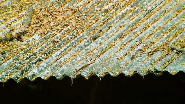 Rustic tin roof texture showing weathered pattern and aged surface in rural outdoor environment setting