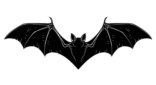 Black bat silhouette with spread wings isolated on white background