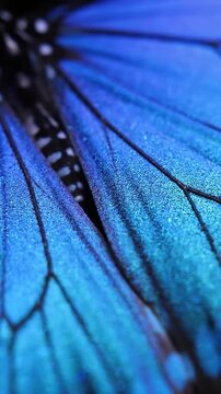 Colorful close up on textured abstract blue fabric fibers