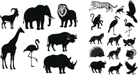 Wild animal silhouettes collection with mammals birds and safari wildlife including lion elephant giraffe rhino and exotic species © MSTMONIRA