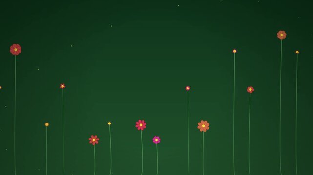 Animated flat design flowers growing and blooming on a green background