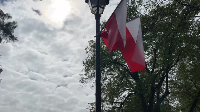 White and Red Flags Waving in City Park, Poland