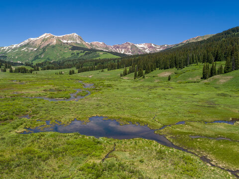 Bellview Mountain Wetlands