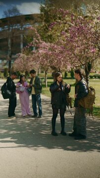 A group of high school friends is seen chatting and spending time together in a vibrant park. Young students enjoy a social gathering outdoors amidst blooming cherry blossom trees.