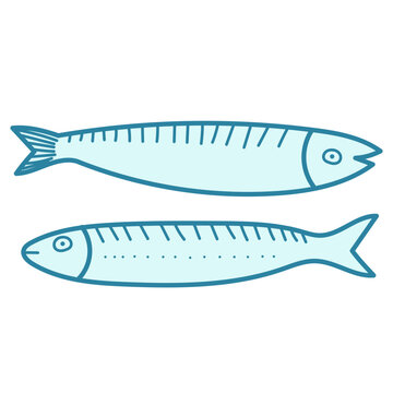 Funny Cartoon Fish. Sardine Icon Isolated on Background. Mediterranean Seafood. Tina Hand Drawn Character. Omega Oil Symbol. Summer Travel Logo Mascot Cute Marine Mackerel Fish Contour. 