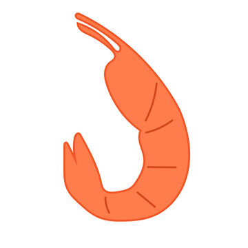 Funny Shrimp Icon. Marine Sea Beach Creature. Tropical Exotic Fish Animal Isolated on Background. Summer Mediterranean Coastal Travel Decoration Symbol.