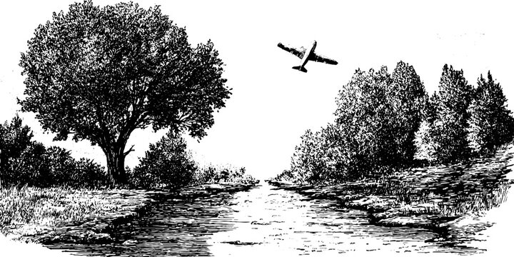 River landscape with trees and plane flying overhead