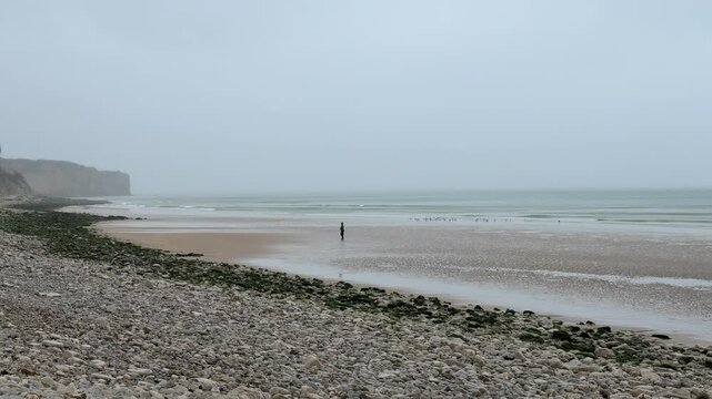 Omaha Beach view with person walking along the shore and birds flying above the water