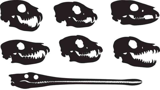 Skulls prehistoric set with various dinosaur and reptile head shapes featuring fossil, ancient, extinct with paleontology and science elements for