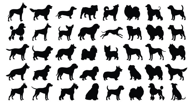 A professional vector silhouette sheet featuring 40 different dogs .eps
