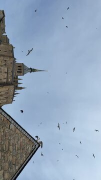 Seagulls fly over the historic buildings in Normandy during a clear day in early spring