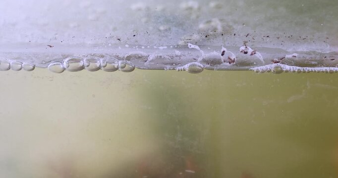 Dirty water, Aquarium glass water surface with bubbles, residue and debris floating along the waterline, showing murky conditions and buildup inside a fish tank, close-up