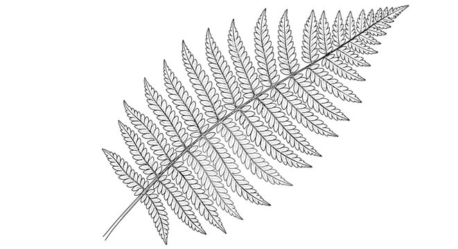 Close-up of Vibrant Green Fern Leaf Frond with Intricate Patterns