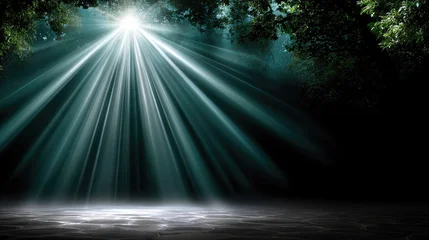 Fototapete Mädchenzimmer Luminous light beams piercing through a dark forest clearing, creating a captivating spotlight effect on a textured ground, symbolizing hope, divine inspiration, and spiritual awakening  © syhin_stas