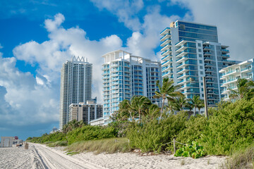 Obraz premium Sandy path along dunes leading to Miami Beach skyscrapers. Beach path through dunes towards modern high-rise condominiums in Miami Beach Florida.
