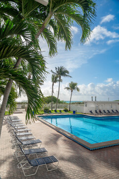 Resort swimming pool area with palm trees and sunbeds. Perspective view of a blue hotel pool surrounded by palm trees and rows of lounge chairs in Miami, Florida.