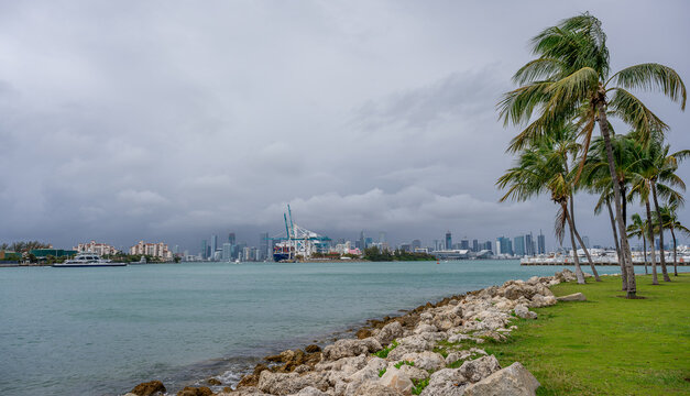Rocky shoreline of Miami bay with city skyline distance. Low angle view of Biscayne Bay water with rocks and palm trees under a grey overcast sky.