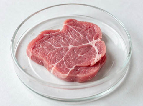 A raw piece of meat served on a plate on a table, great for food photography and culinary concepts