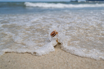 Message in a bottle in sea wave splash on sandy beach, concept of communication and hope  © JuRa