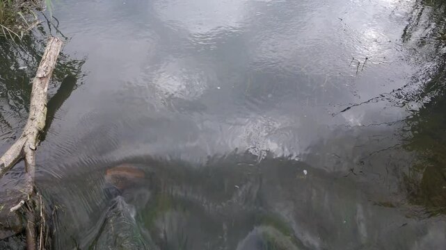 petit waterfall