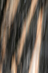 Fototapeta premium Blurred wooden texture with vertical motion lines in warm brown and dark tones, ideal for backgrounds, interior design concepts and natural materials.