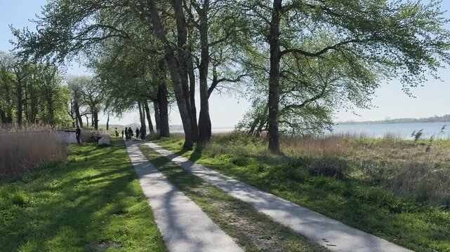 Radweg an der Schlei bei Gut Bienebek