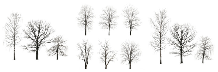 Collection of Bare Winter Trees Without Leaves Isolated on Transparent Background, High Quality Nature PNG for Seasonal Landscape Design and Environmental Awareness Projects © QReechina