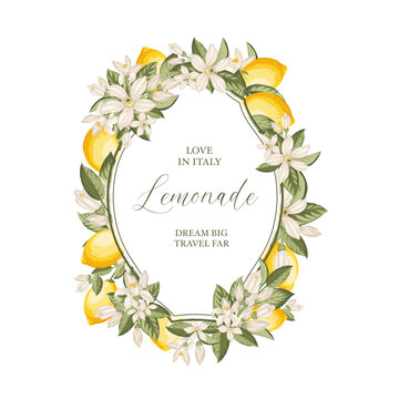 Lemon vintage frame. Italian vector background. Fresh lemon and green