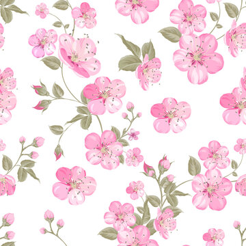 Spring flowers pattern over white background. Vector illustration.