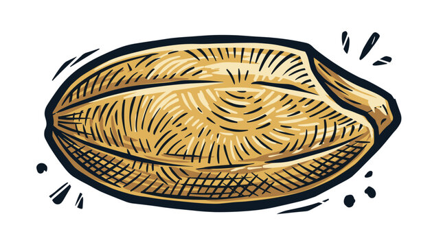 Vector Pinocut Illustration of a single wheat grain.